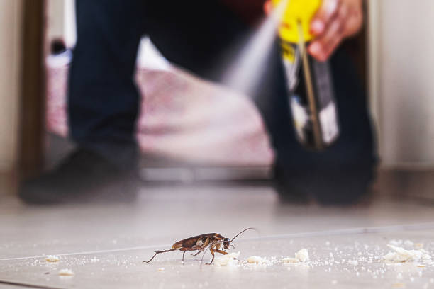 Trusted St Francis, MN Pest Control Experts